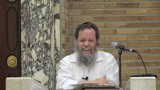 עדות נשים וקטנים במצבי מיוחדים | הרב אהרן פרידמן, ראש הישיבה (ישיבת כרם ביבנה) - התמונה מוצגת ישירות מתוך אתר האינטרנט יוטיוב. זכויות היוצרים בתמונה שייכות ליוצרה. קישור קרדיט למקור התוכן נמצא בתוך דף הסרטון