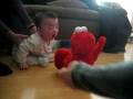 DoYoon With Tickle Me Elmo