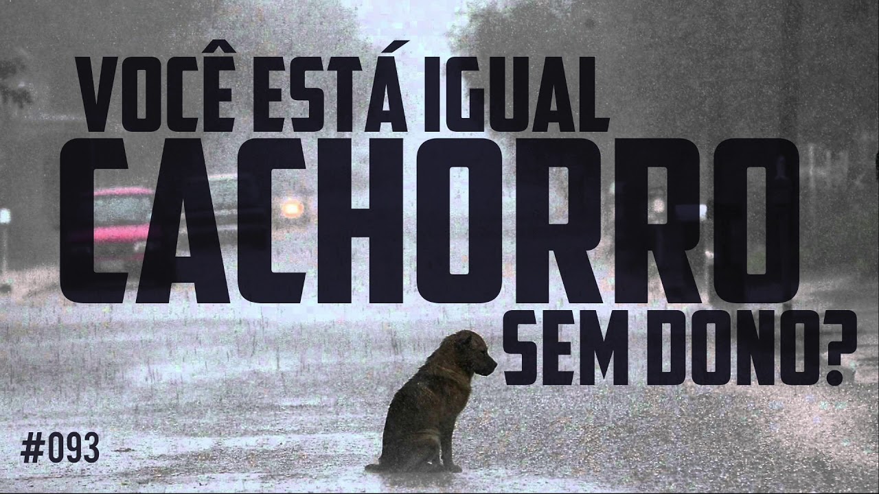 Você está igual cachorro sem dono?