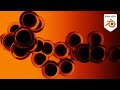 10 Minute Tutorial Organic Cell Effect In Geometry Nodes Blender Tutorial
