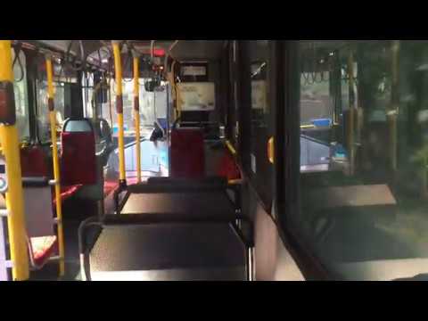 Sydney Buses 2954 ST - Volvo B8RLE Euro 5 (ZF Ecolife)