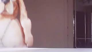 Сумерки// ВЫЙДЕТ ПРОДОЛЖЕНИЕ ЗАКАТ ВЕЧНОСТИ ?