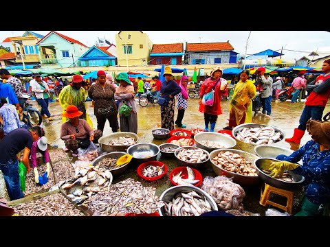Video Fish Market in Cambodia   Morning activities of traders and buyers @ Kilometer 9 Market