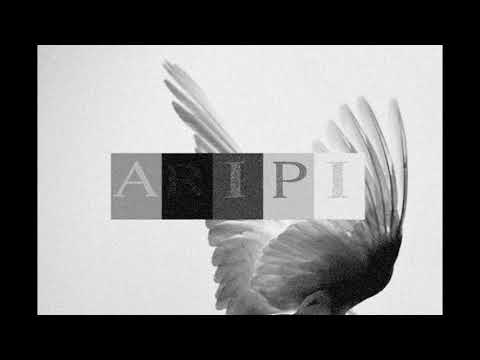 B4 x SEV - ARIPI (ROABARMANI X BORI$$)