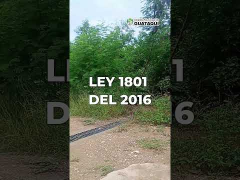 Aviso importante a propietarios de predios sin construir