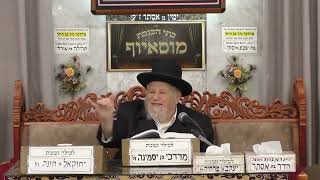 הרב מאיר מזוז   דף היומי   בית הכנסת מוסאיוף (בית הכנסת מוסאיוף - ערוץ חדש) - התמונה מוצגת ישירות מתוך אתר האינטרנט יוטיוב. זכויות היוצרים בתמונה שייכות ליוצרה. קישור קרדיט למקור התוכן נמצא בתוך דף הסרטון