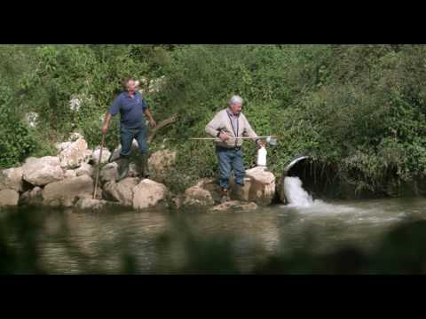 Gli anni verdi ~ Trailer (1'59")