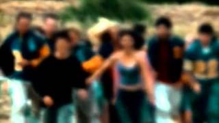 The Flys - Got You (Where I Want You)