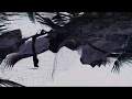 Moebius Story Leidecker – Vexed (official video)