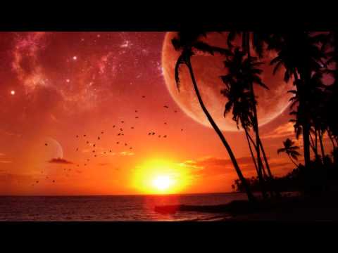 Tillmann & Ries - Bassfly (Moogwai Remix) [2000]