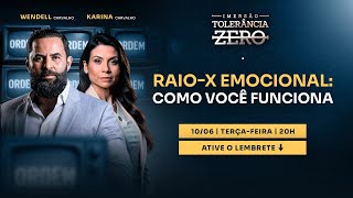 AULA 2: RAIO-X EMOCIONAL