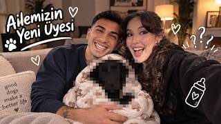 EVİMİZİN YENİ ÜYESİ! @MertGultass @SibelOzekici