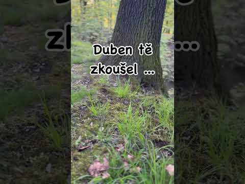 Duben prověřoval