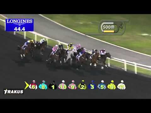 15.02.2014 Meydan (Dubai-UAE) 2.Race Longines Master Collection - Handicap 1.200 m