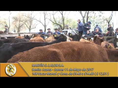 11-05-17 Venta de Gordo - Martin G. Lalor S.A. - Benito Juárez