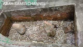 Download lagu MAKAM RAJA HAJI WAN ALANG KEDATUKAN LIMA PULUH BATU BARA mp3