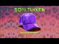 SOFI TUKKER Purple Hat Dux N Bass Remix Visualizer
