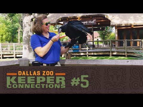 Meet Robin R. and Baldwin!