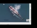 Cool Marine Animals Sei Whale