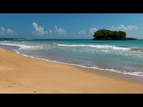 Relaxing Beaches Pro Video