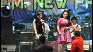 Download lagu NEW PALAPA ANI ARLITA & DWI RATNA SURATAN SEDEKAH LAUT BAJOMULYO JUWANA 29 JULY 2015 mp3