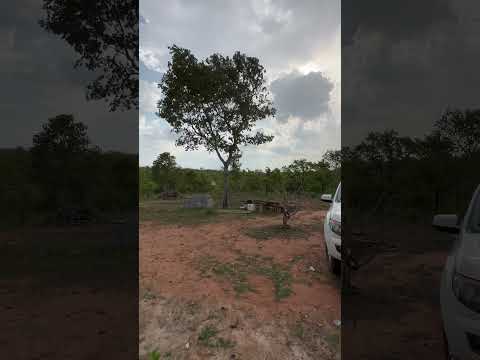 NATUREZA, A CASA PREDILETA DE DEUS! #deus #jesuscristo #estudobiblico #shorts #matogrosso #natureza