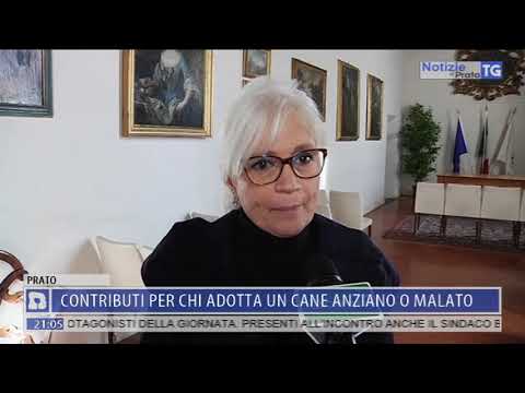 2020-01-08 NOTIZIE DI PRATO TG ORE 20.50