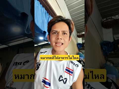 มันมีอยู่กดใหม่ซิหมากดที่ให้อาหารอัตโนมัติไม่ไหล #บังเอิญเจอ #funny #comedy #การแสดงเท่านั้น