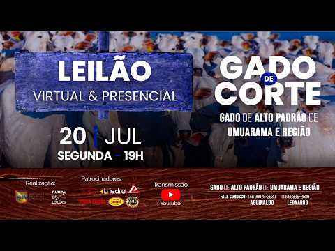 LEILÃO AO VIVO / UMUARAMA - PR (LANCES 44-99976-2930)