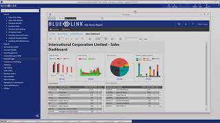 Blue Link ERP video