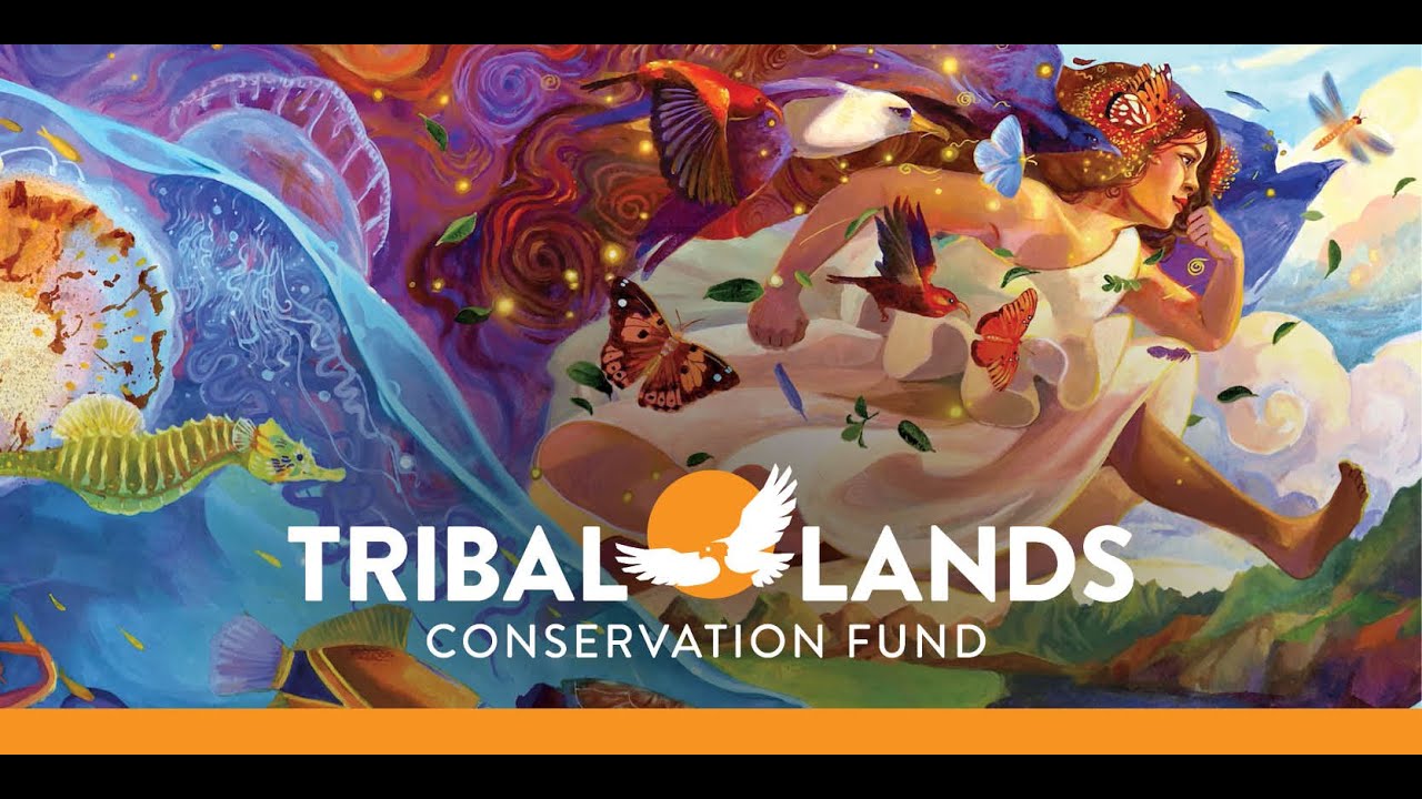 Aloha Everything Feature: Tribal Lands Conservation Fund