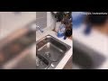 Cleaning star Mrs Hinch shares incredible sink cleaning hack|WORLD NEWS|