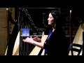 Dearbhail Finnegan - Eleanor Plunkett, Fanny Power, Planxty Irwin (19.2.2012)