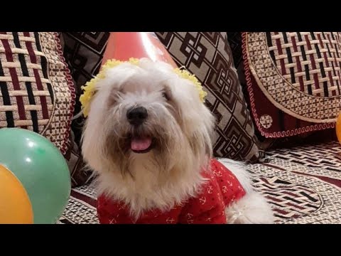 ❤️Watch Him Grow!!!❤️