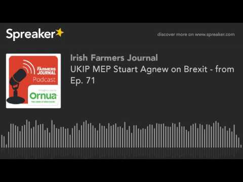 UKIP MEP Stuart Agnew on Brexit - from Ep. 71
