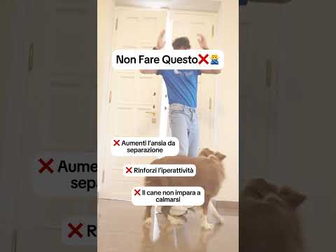 NON SALUTARE MAI COSÌ IL TUO CANE (stai sbagliando tutto)