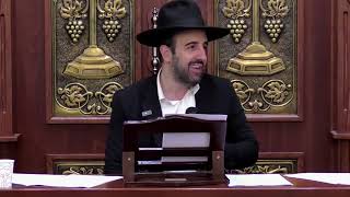 הרב מאיר אליהו | רובוט פוסק הלכות 🤖