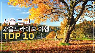 서울근교 가을 드라이브 BEST 10 🍁 당일치기로 떠나는 단풍 명소
