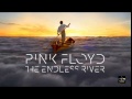 Pink Floyd - " Unsung "