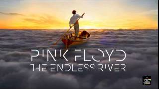 Pink Floyd - &quot; Unsung &quot;
