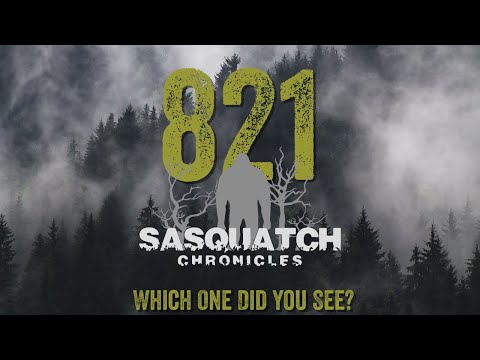 SC EP:821 Which One Did You See?