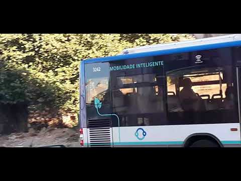 STCP Linha 805 veiculo 3242