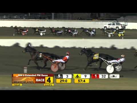 Meadowlands February 6, 2016 - Race 4 - Magenta Man