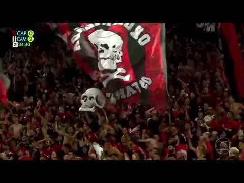 Globo não resiste e elogia a festa da torcida do furacão na final