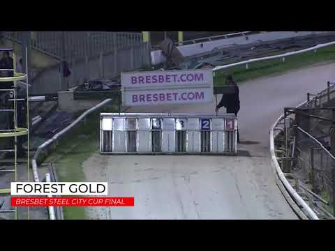Forest Gold - Bresbet Steel City Cup Final