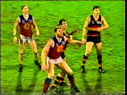 1991 AFL - ROUND 12 - ADELAIDE CROWS V FITZROY - 2nd Half