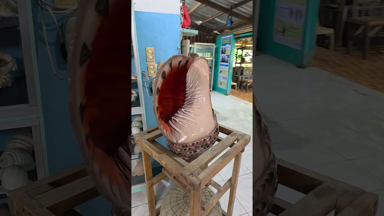 YouTube Short thumbnail