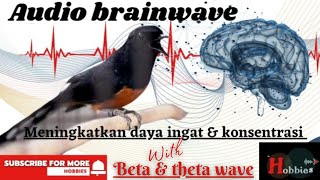 Download lagu Audio brainwave terapi otak... mp3
