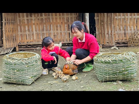 Handmade Bamboo Basket Weaving Process - Harvest wild vegetables to sell
