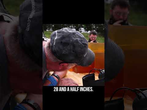 Lehigh Defense Acquisition